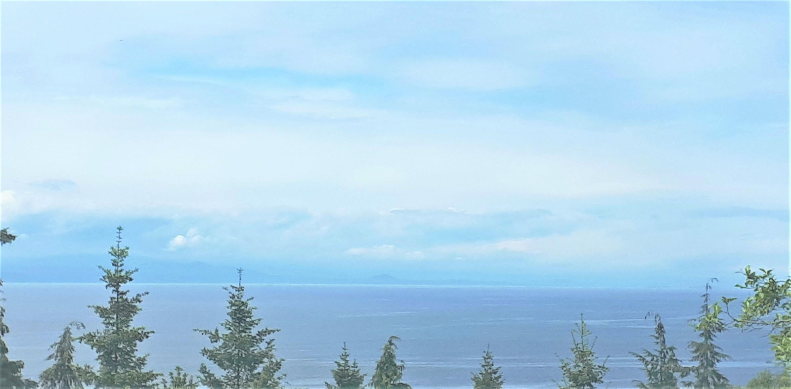 Listing Image 38