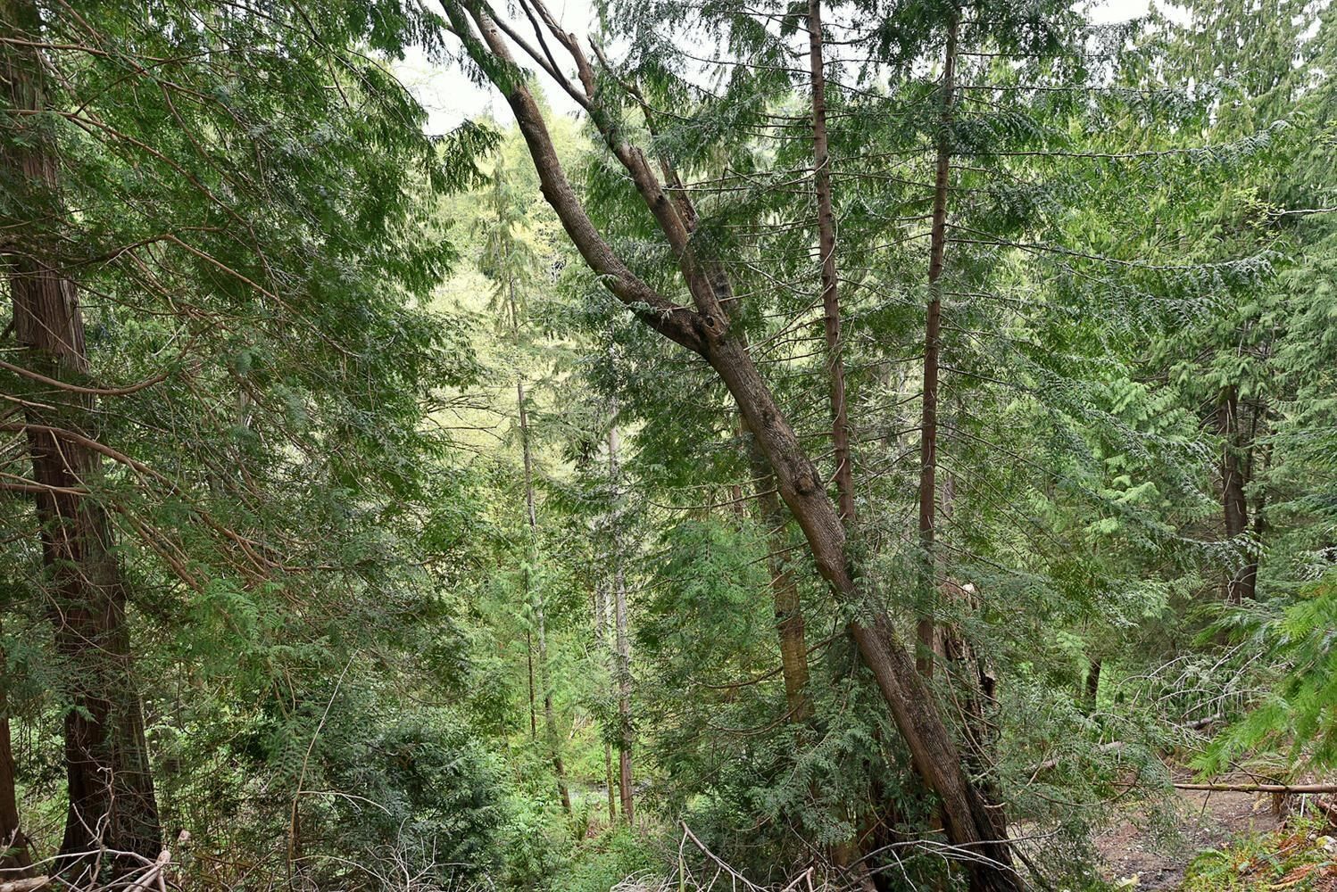 Listing Image 27