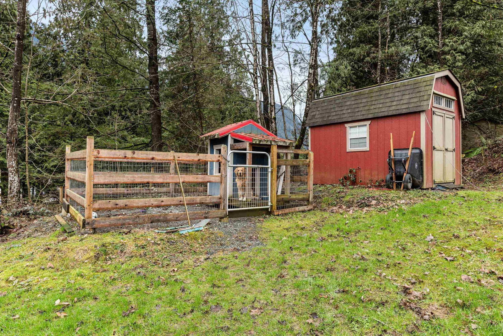 Listing Image 28