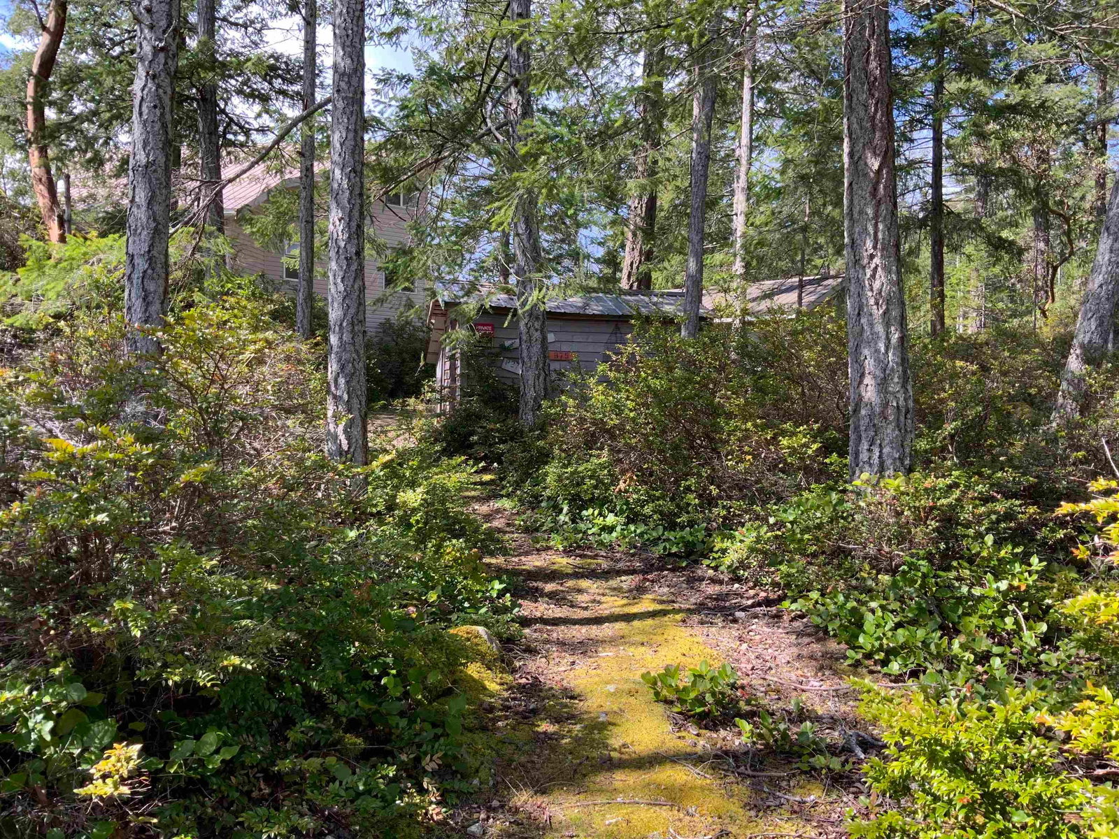 Listing Image 28