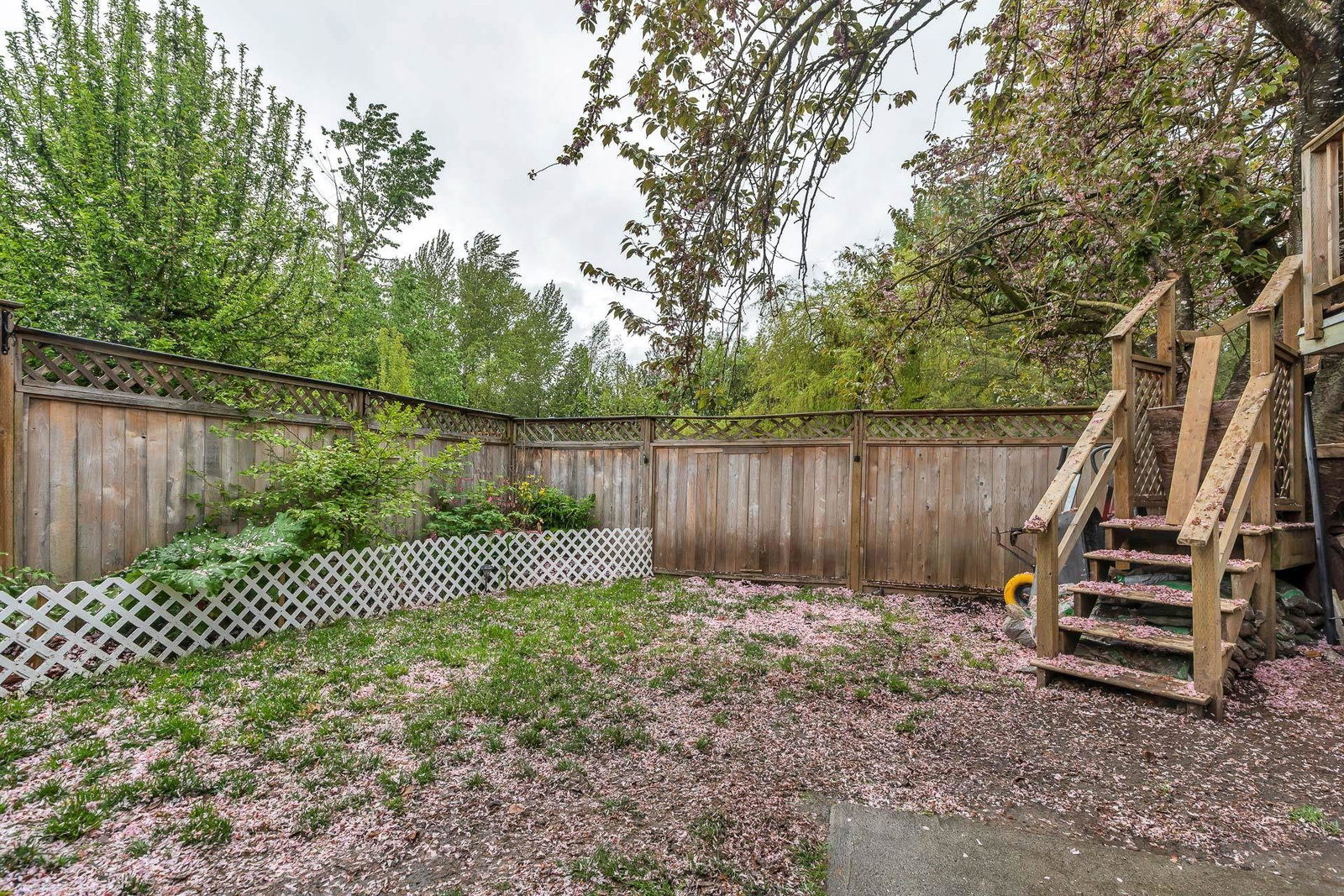 Listing Image 35