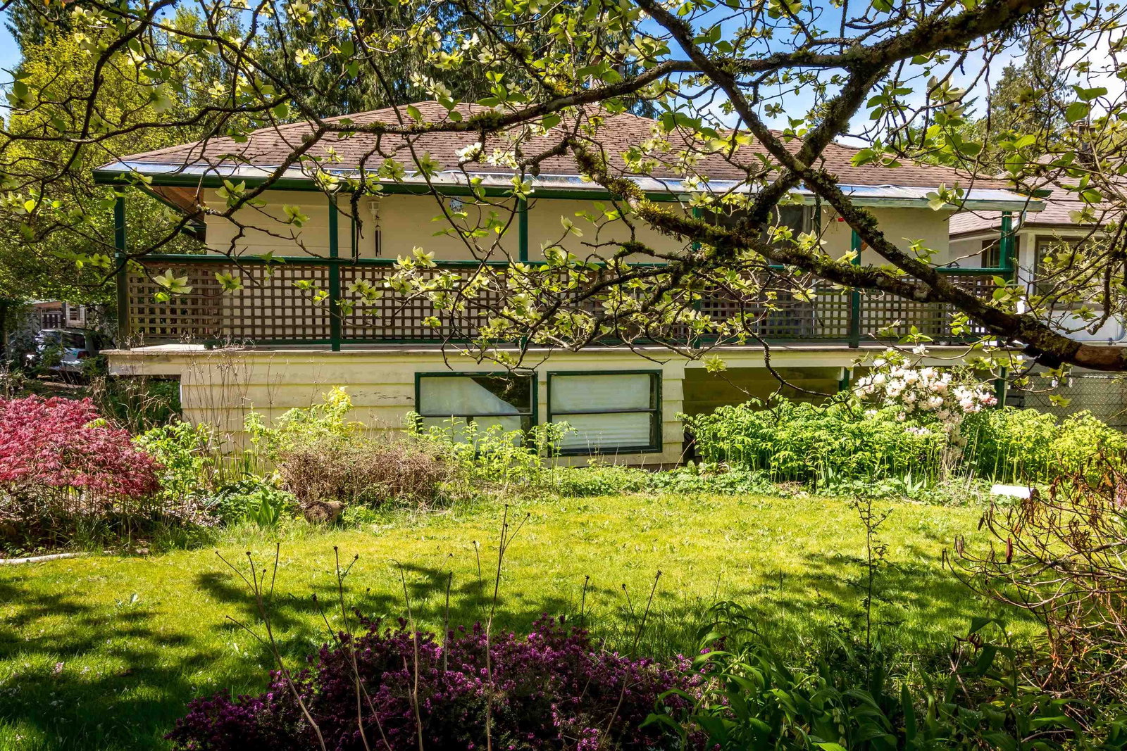 Listing Image 5
