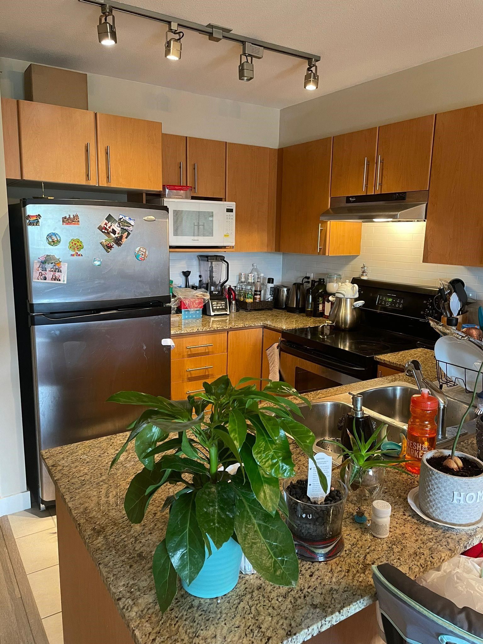 Listing Image 5