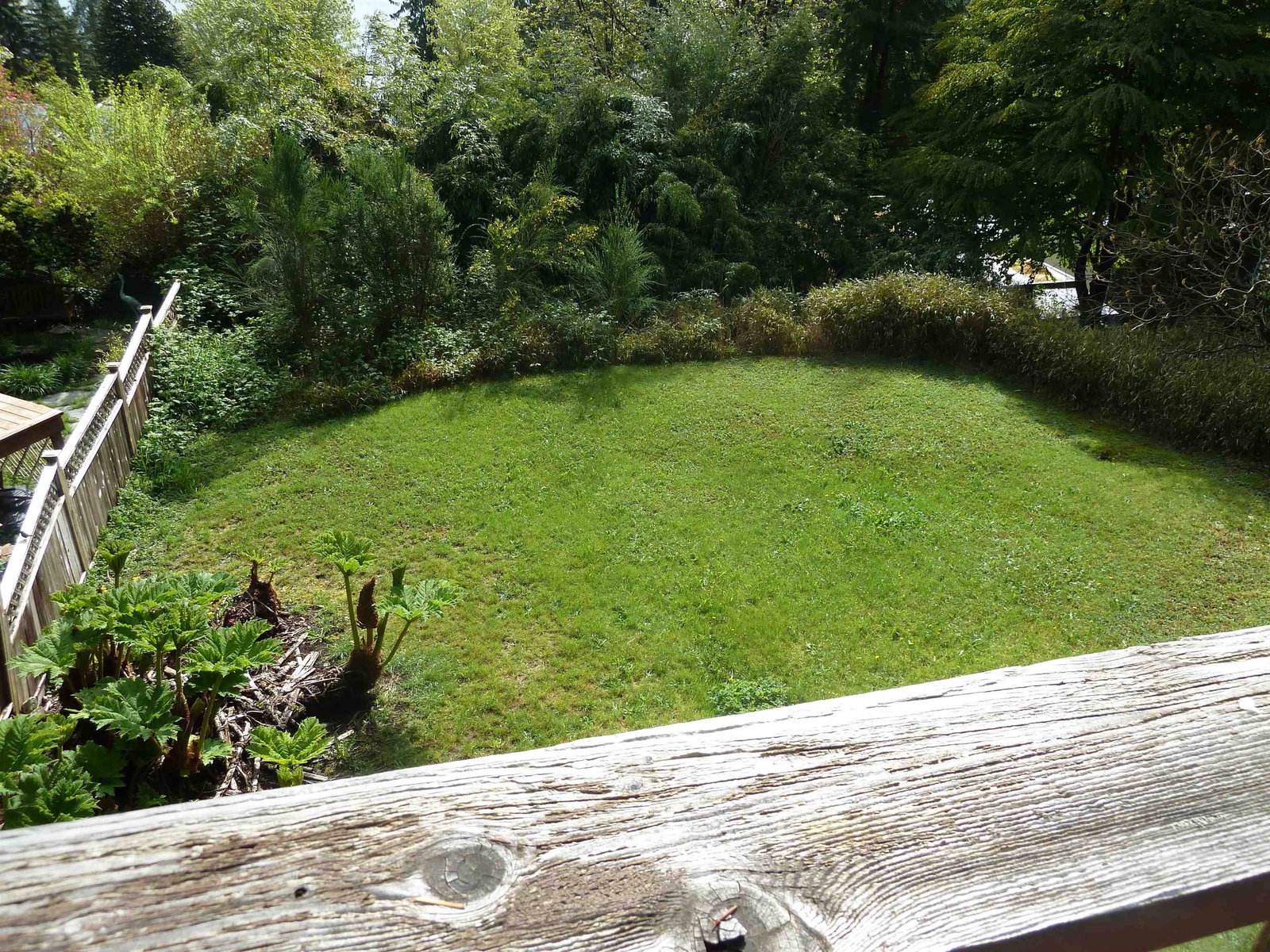 Listing Image 16