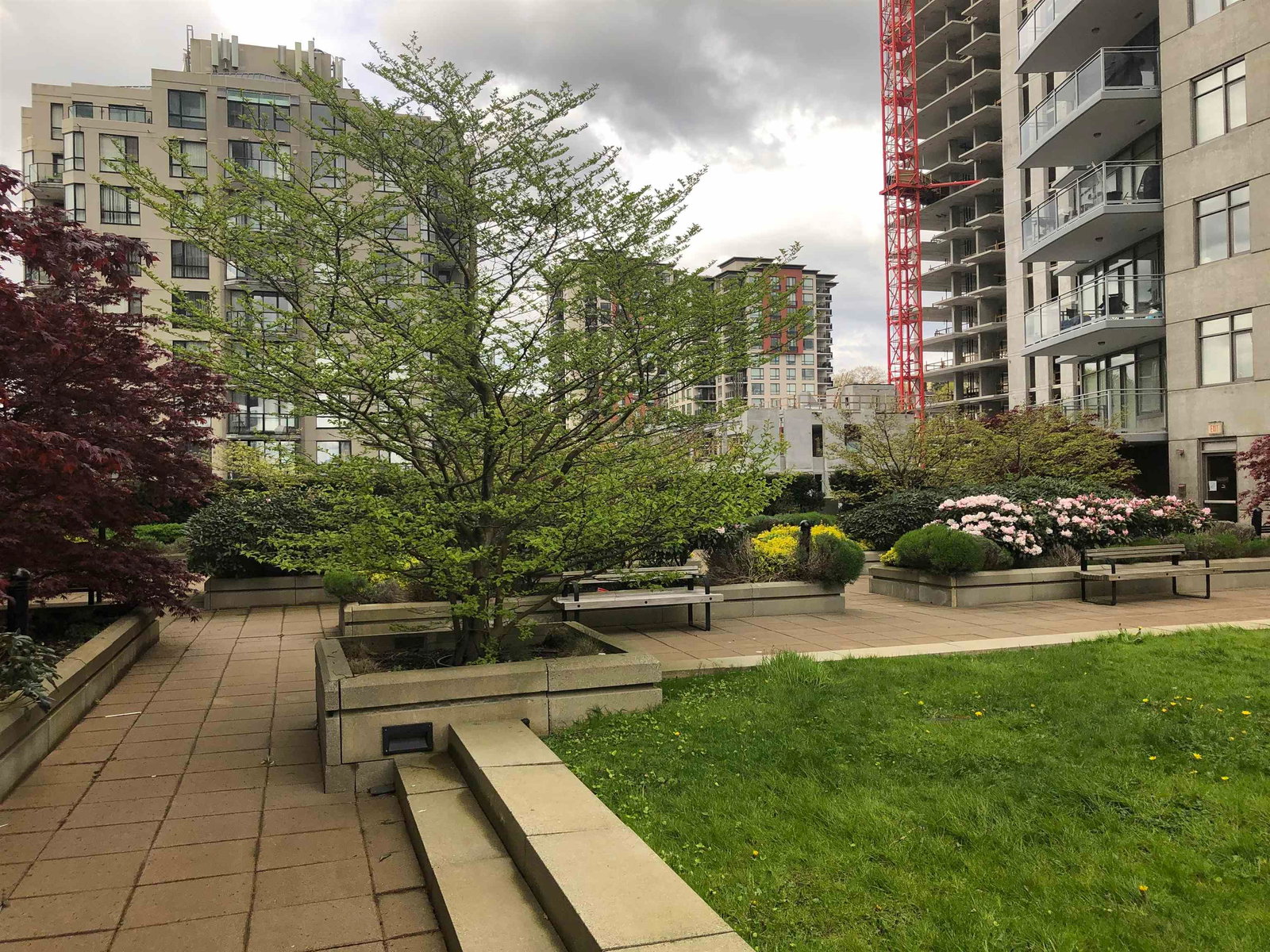 Listing Image 19