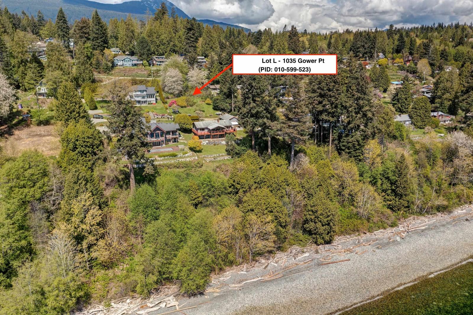 Listing Image 5