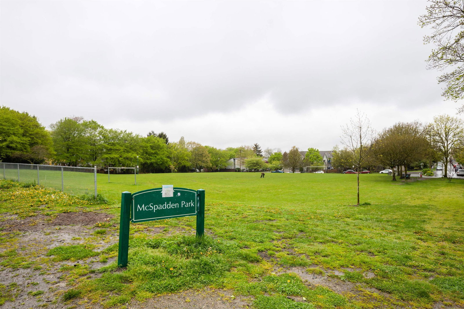 Listing Image 33