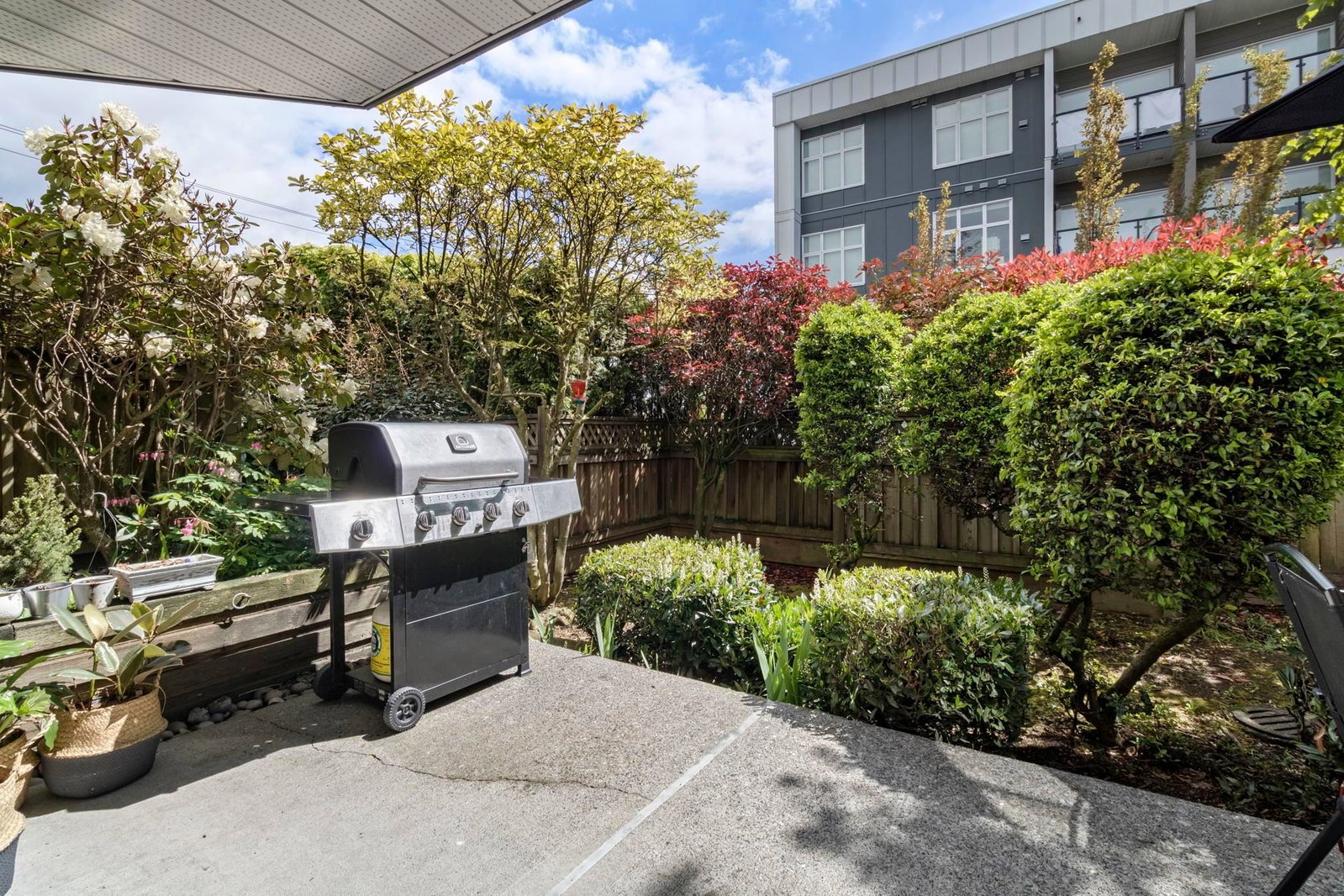 Listing Image 11