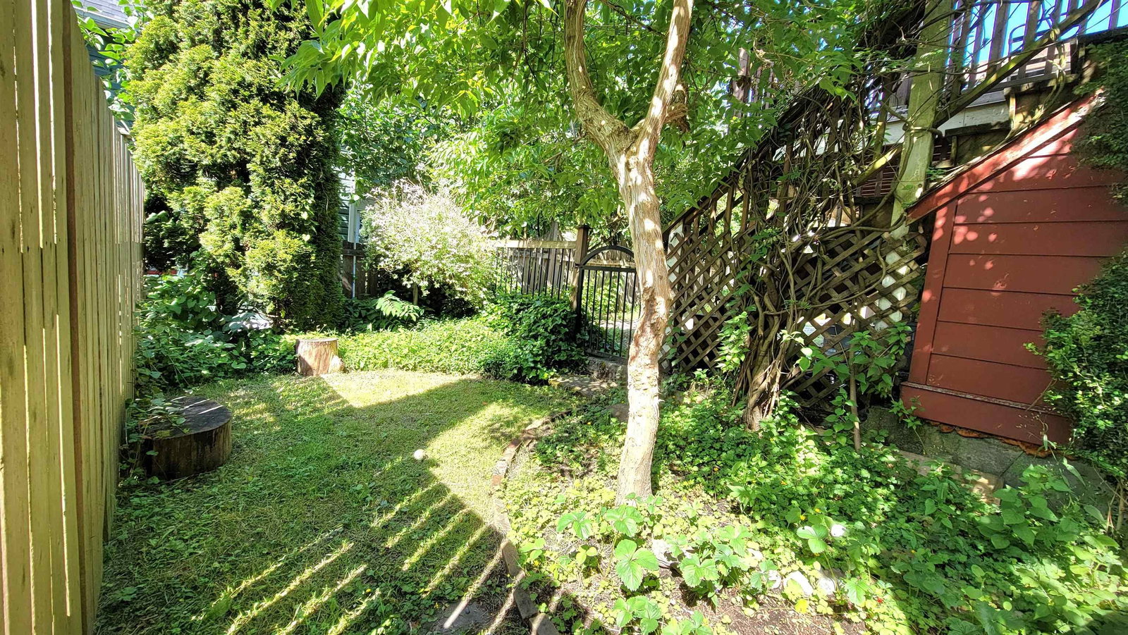 Listing Image 19