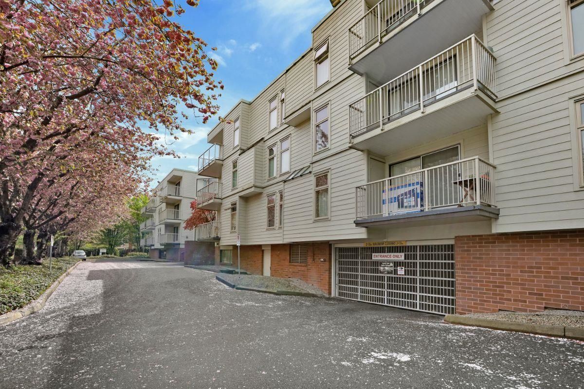 Listing Image 18