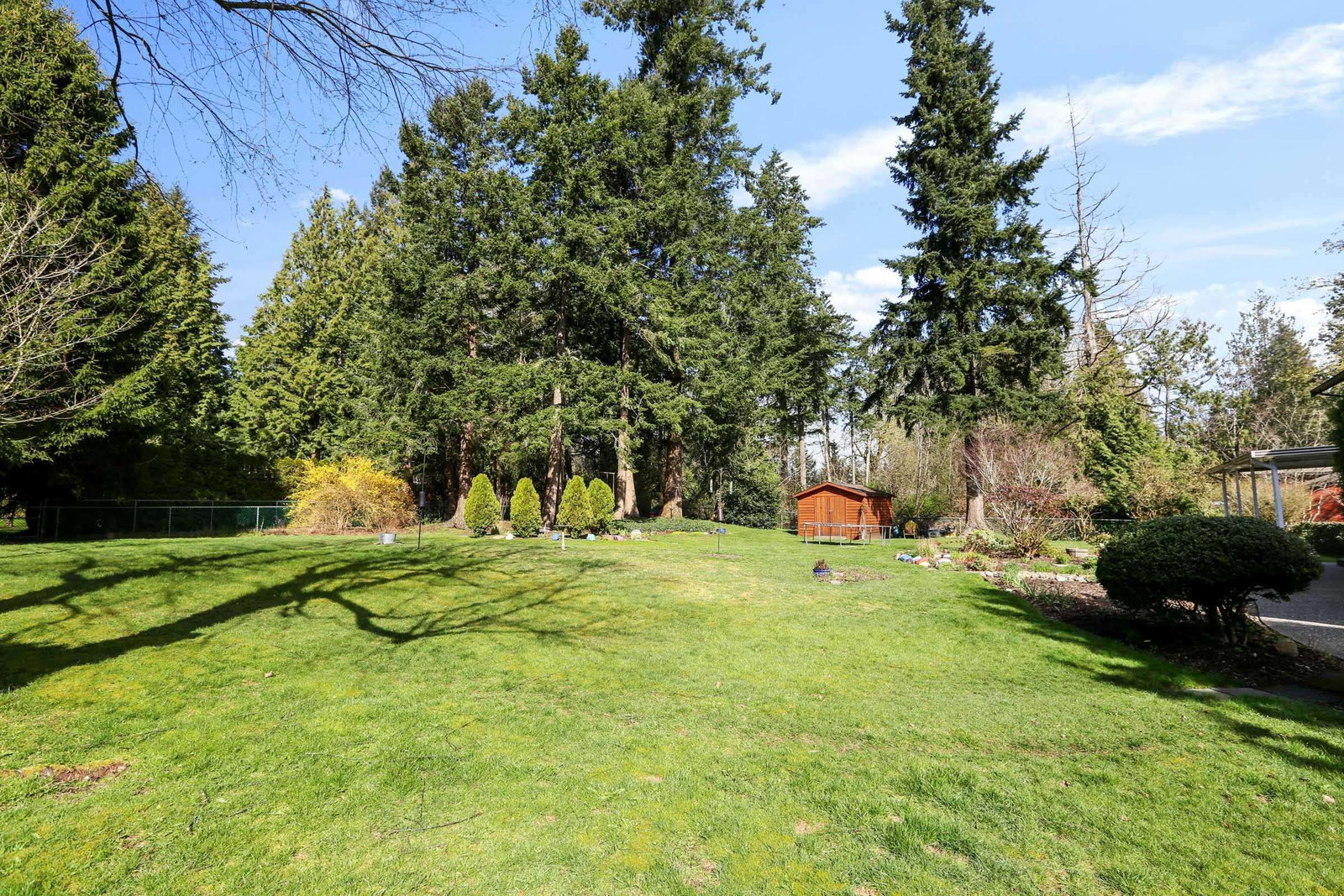 Listing Image 35
