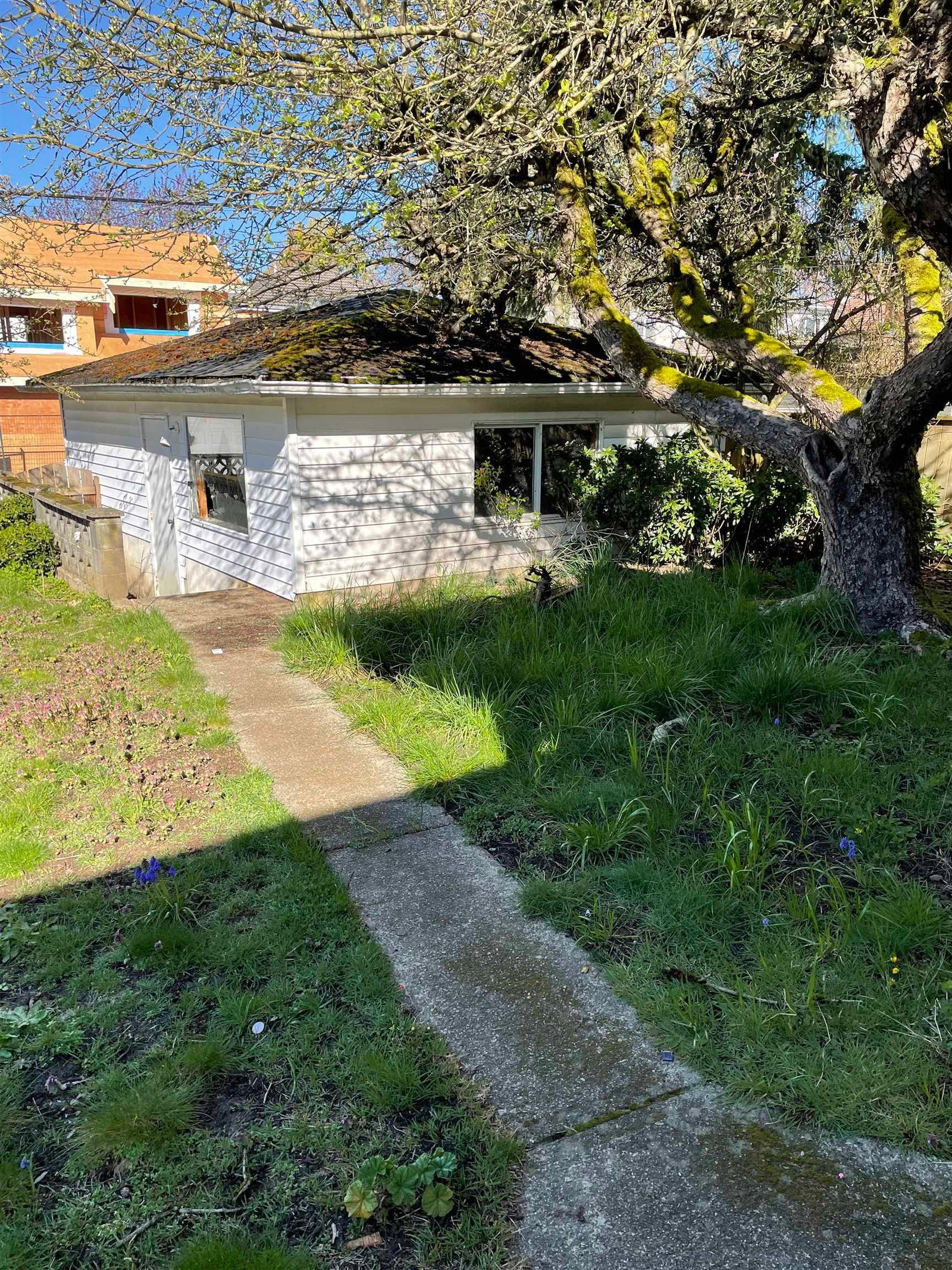 Listing Image 16