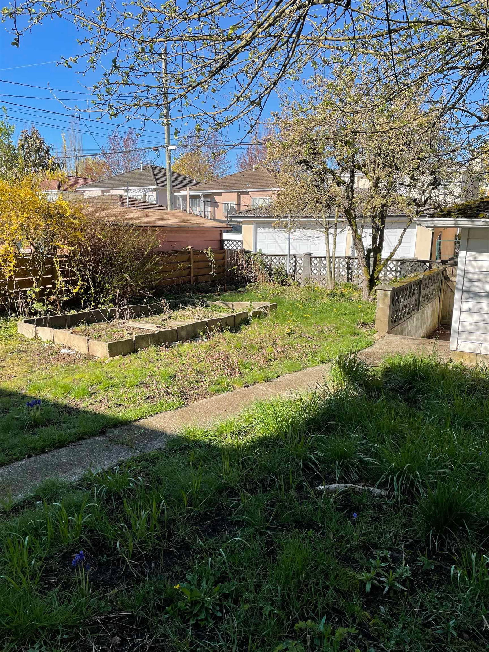 Listing Image 17