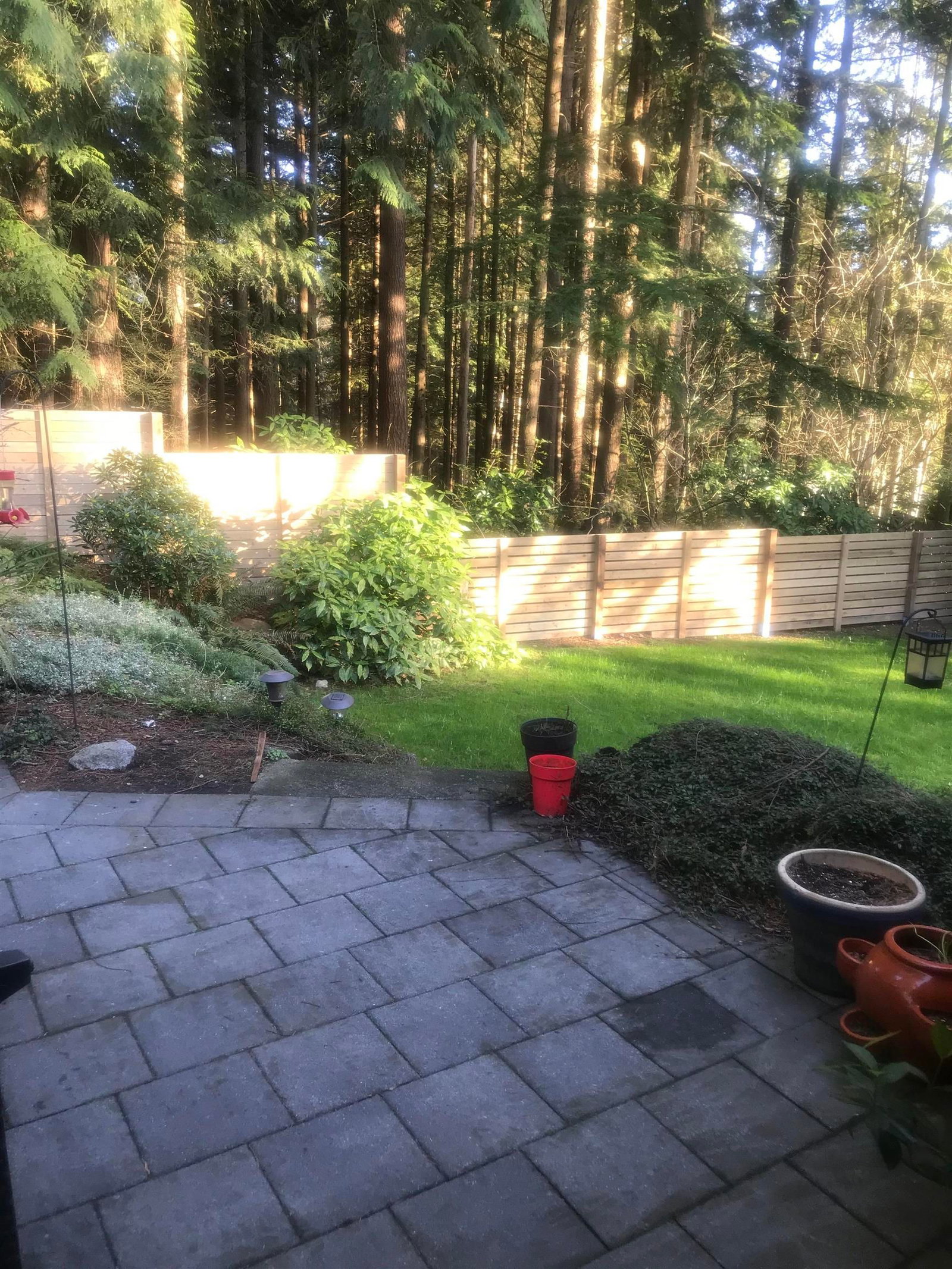 Listing Image 37