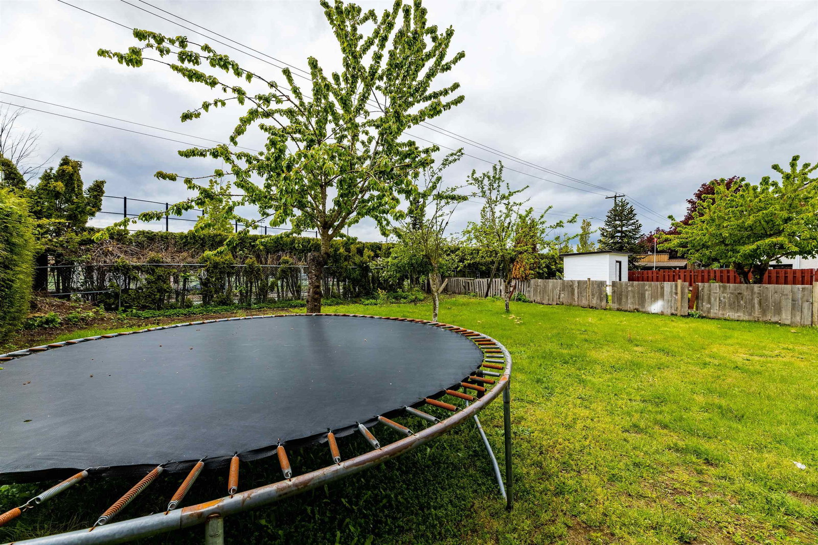 Listing Image 7
