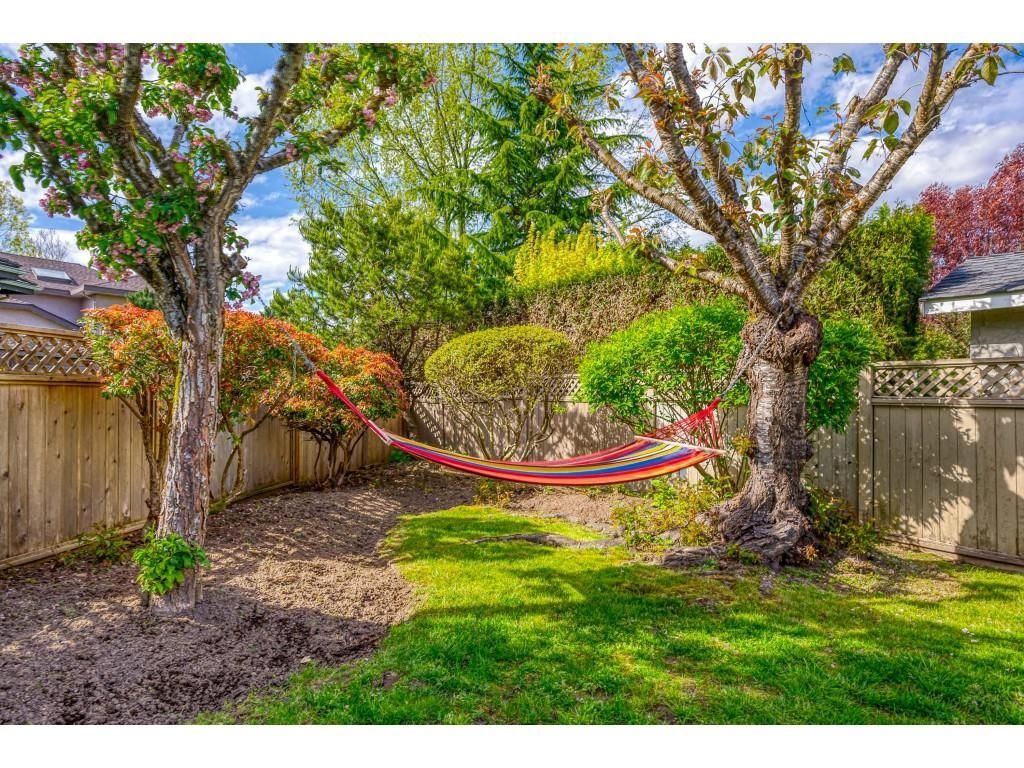 Listing Image 39