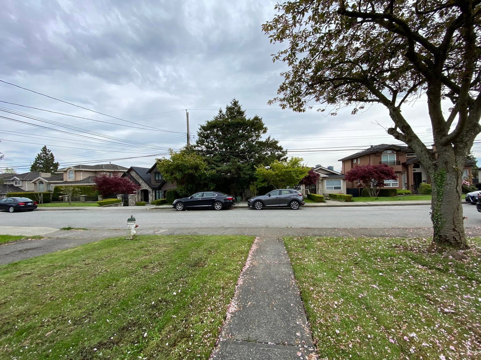 Listing Image 24
