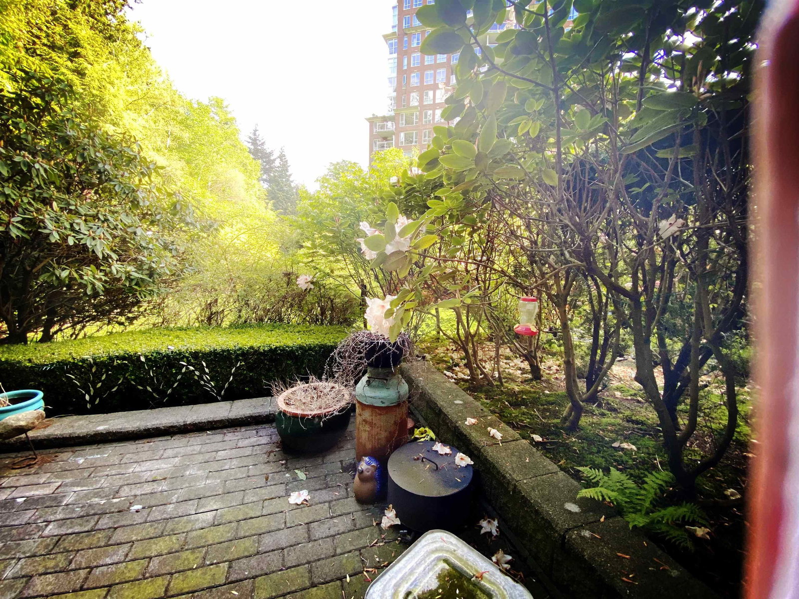 Listing Image 23