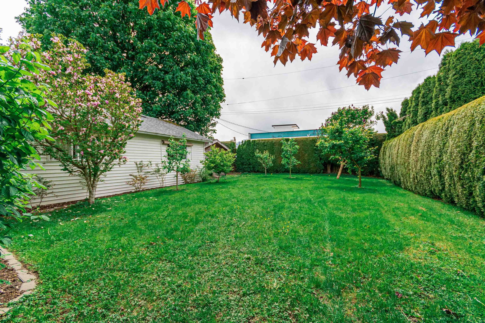 Listing Image 29