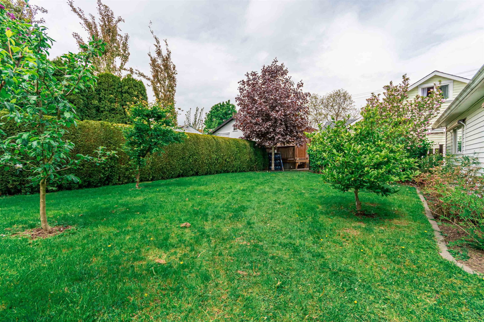 Listing Image 31