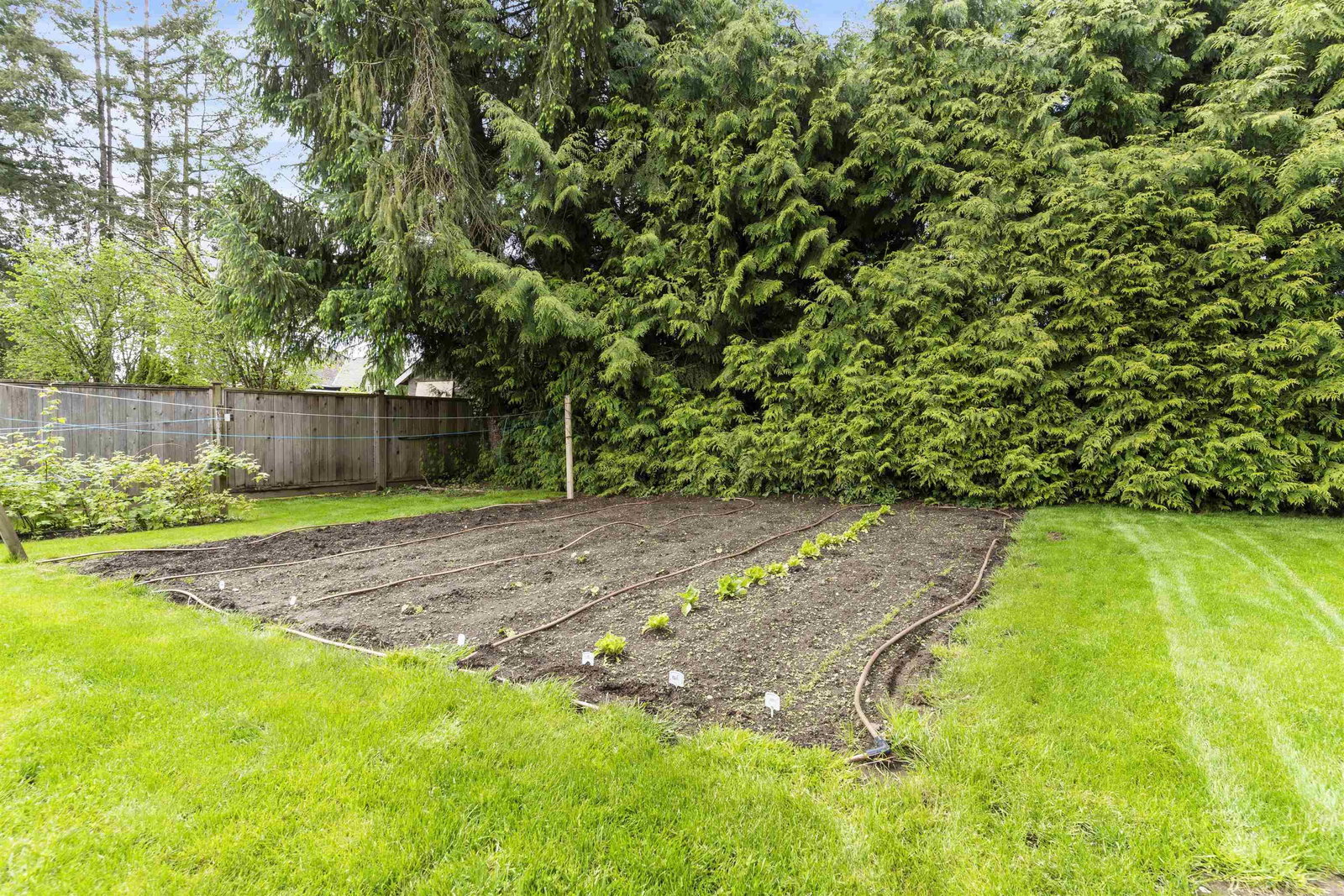 Listing Image 34
