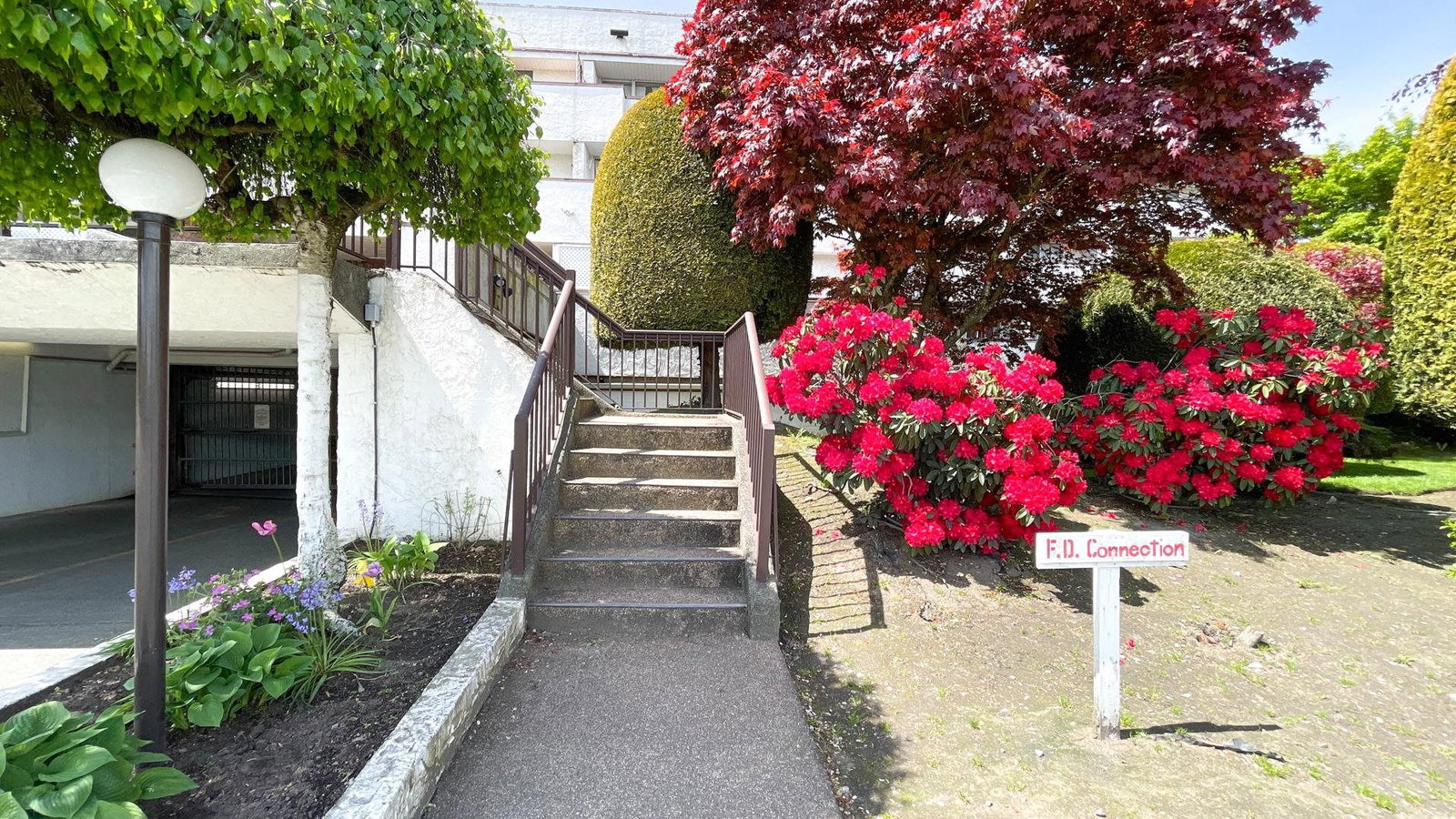 Listing Image 11