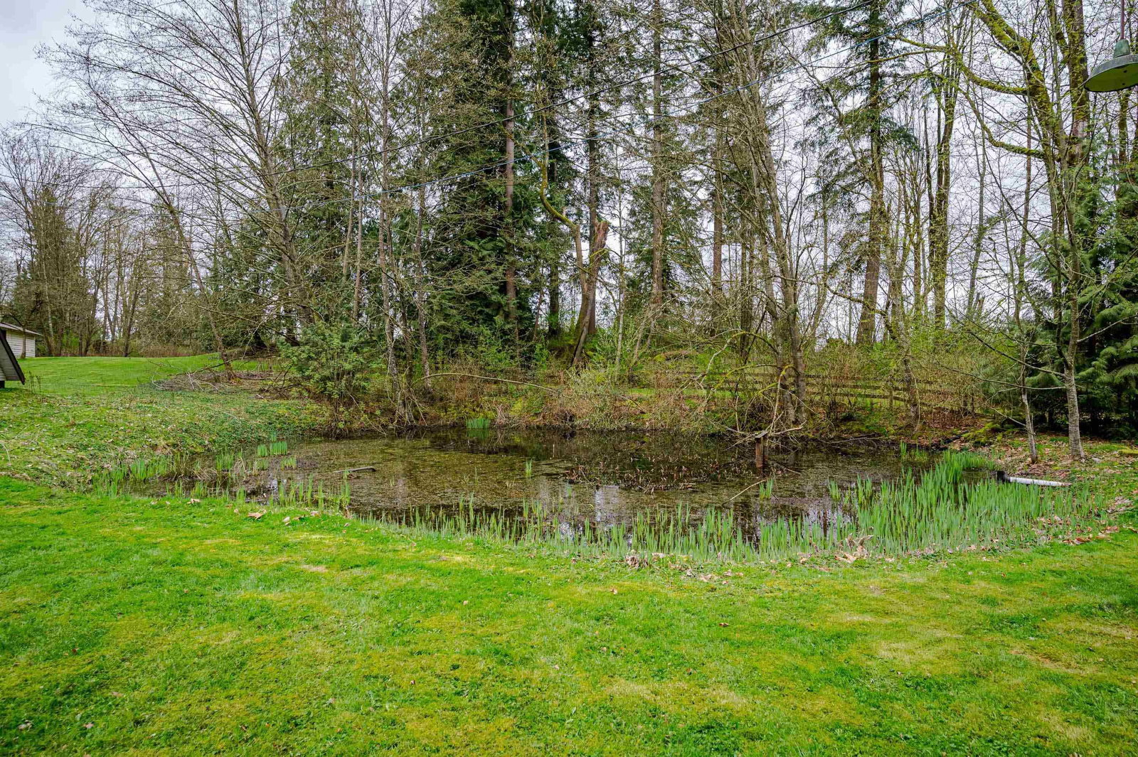 Listing Image 34