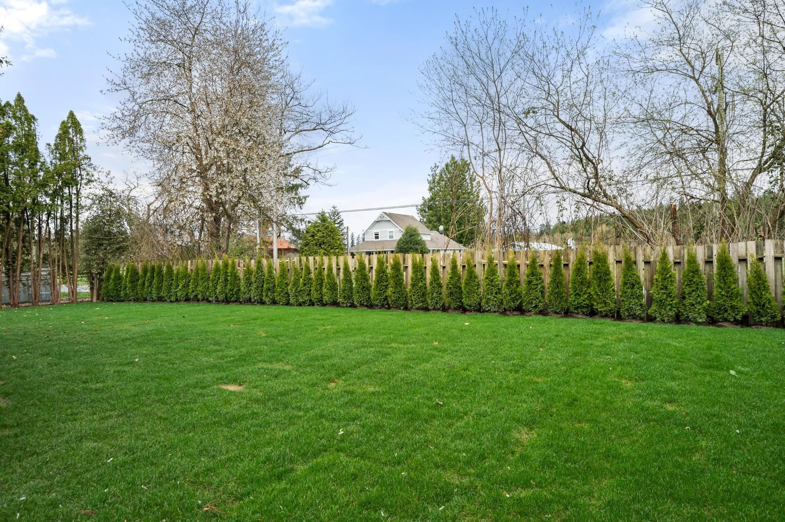 Listing Image 32