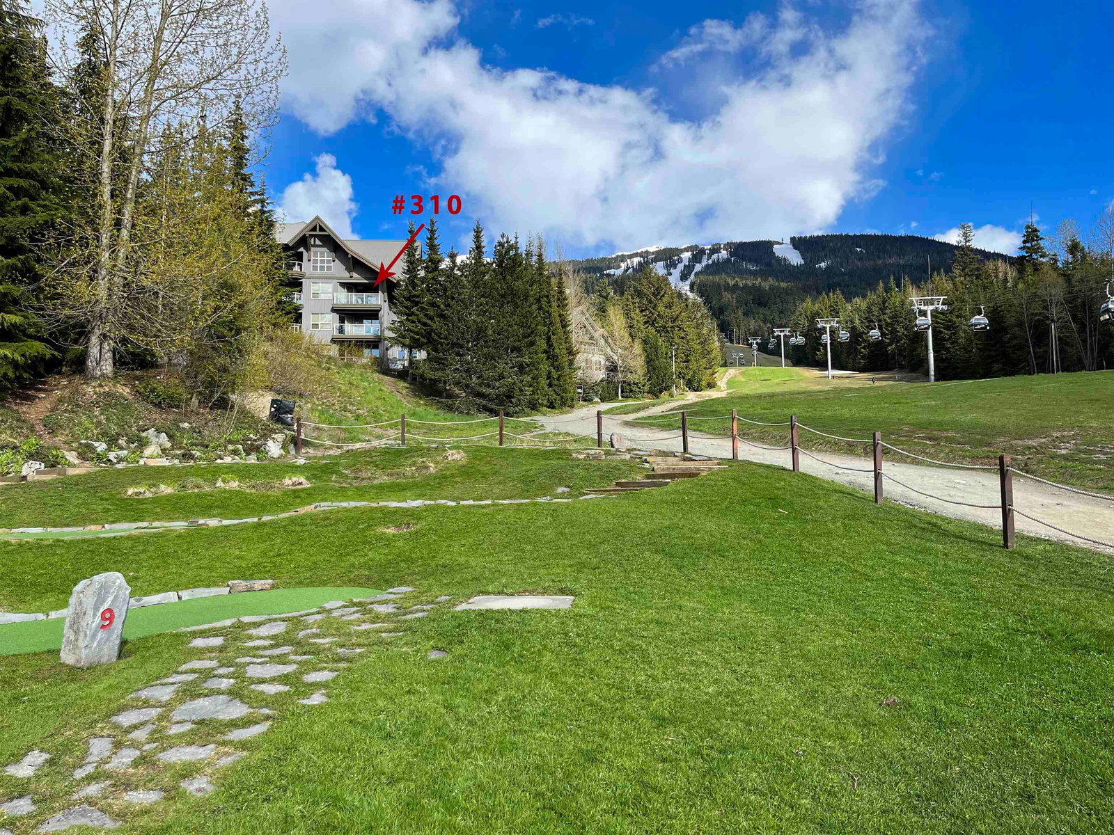 Listing Image 13