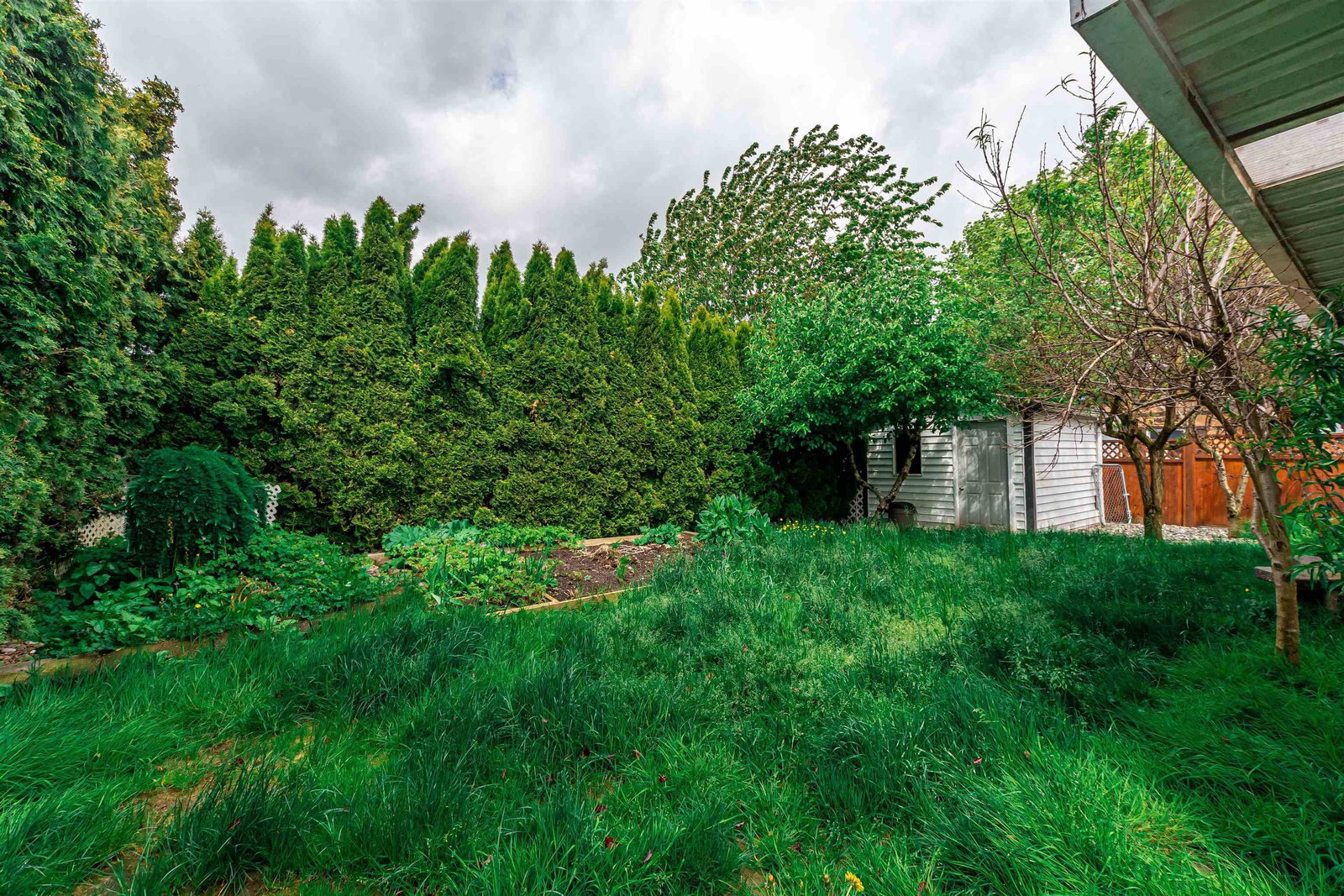 Listing Image 6