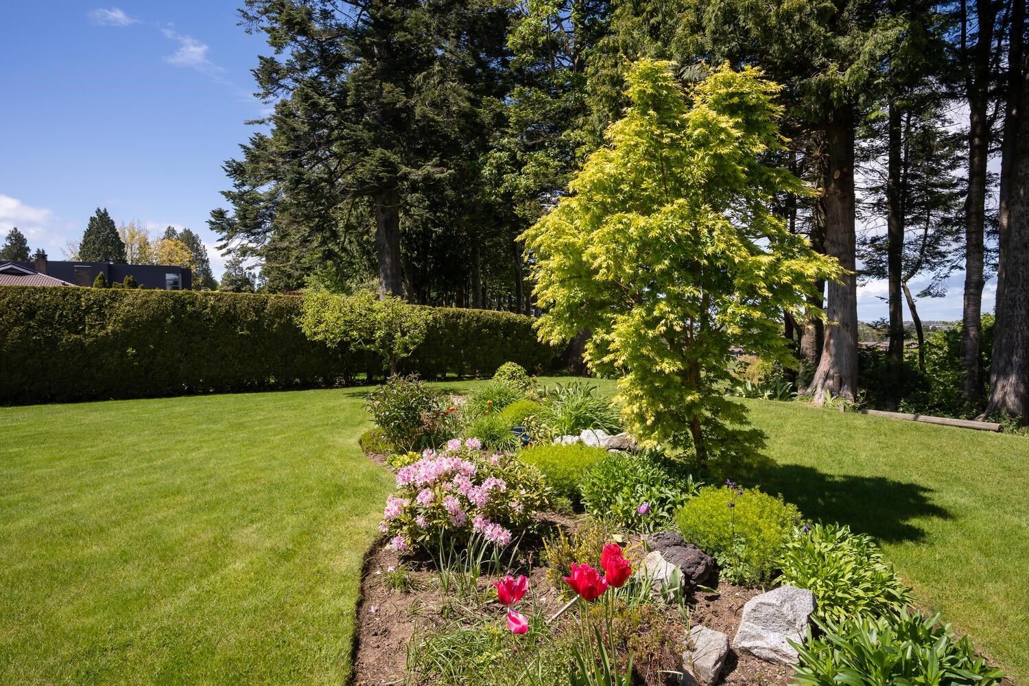 Listing Image 34