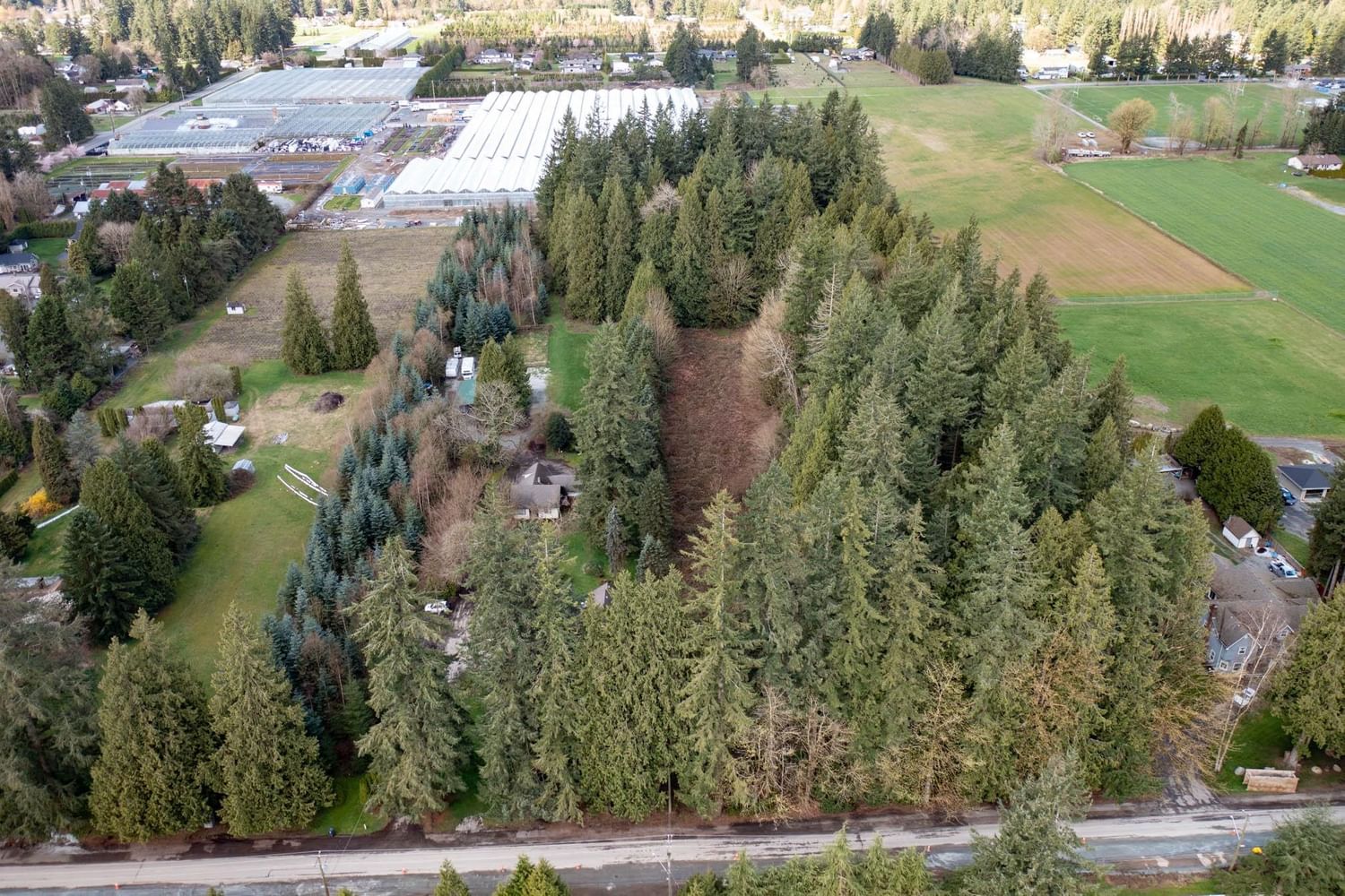 Listing Image 18