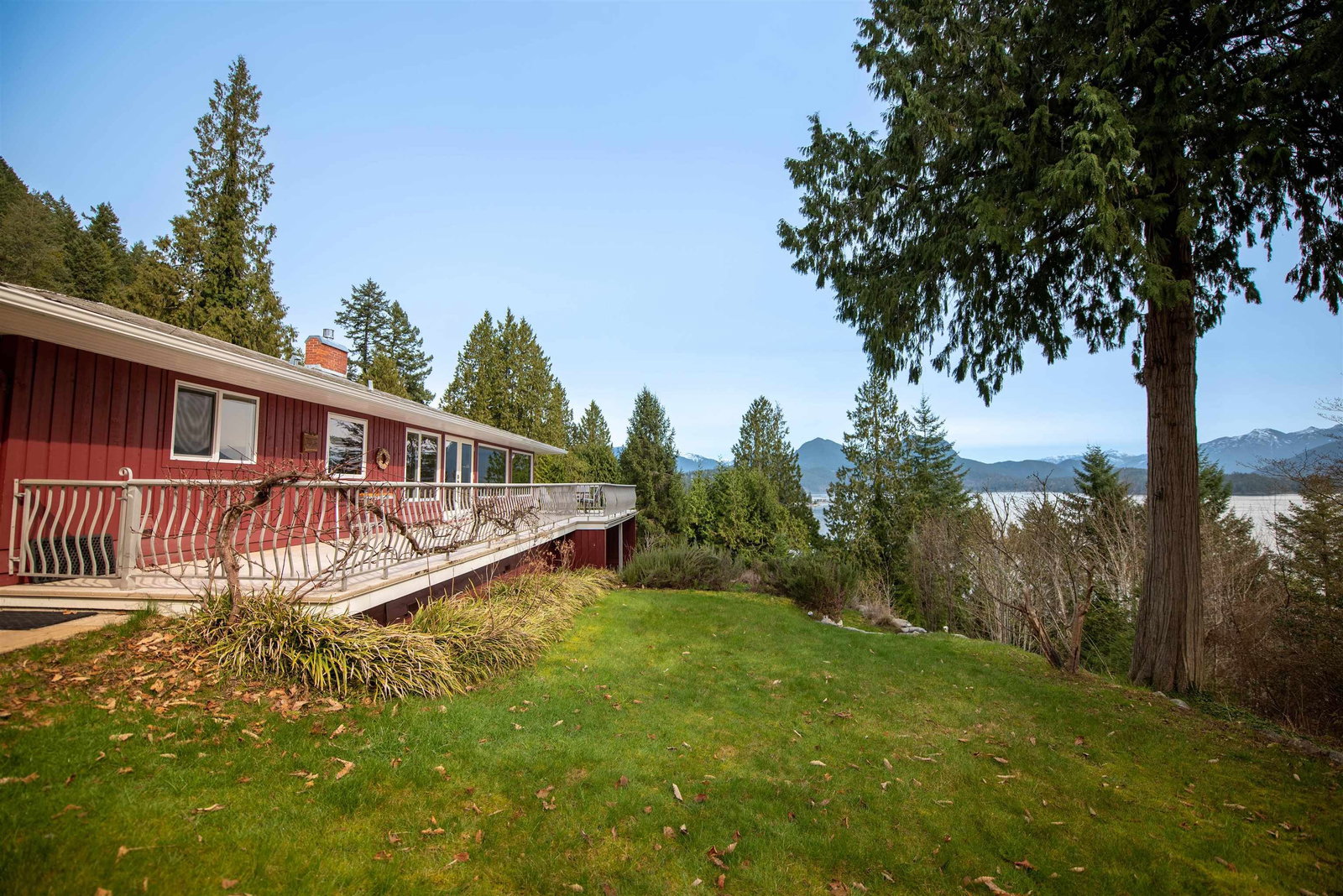 Listing Image 4