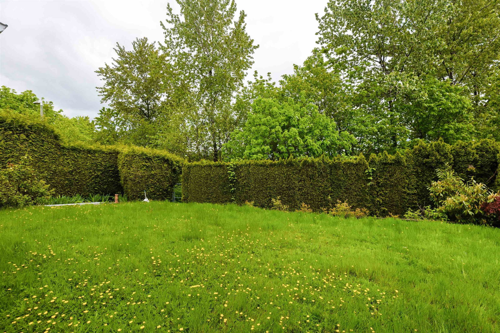 Listing Image 29