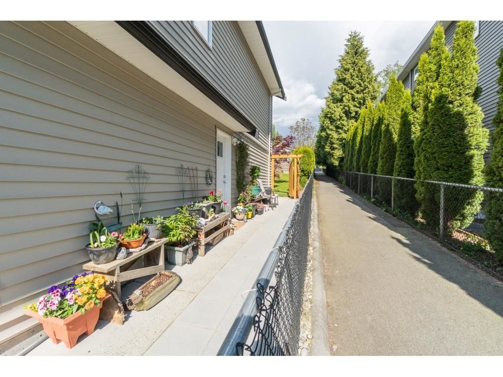 Listing Image 4
