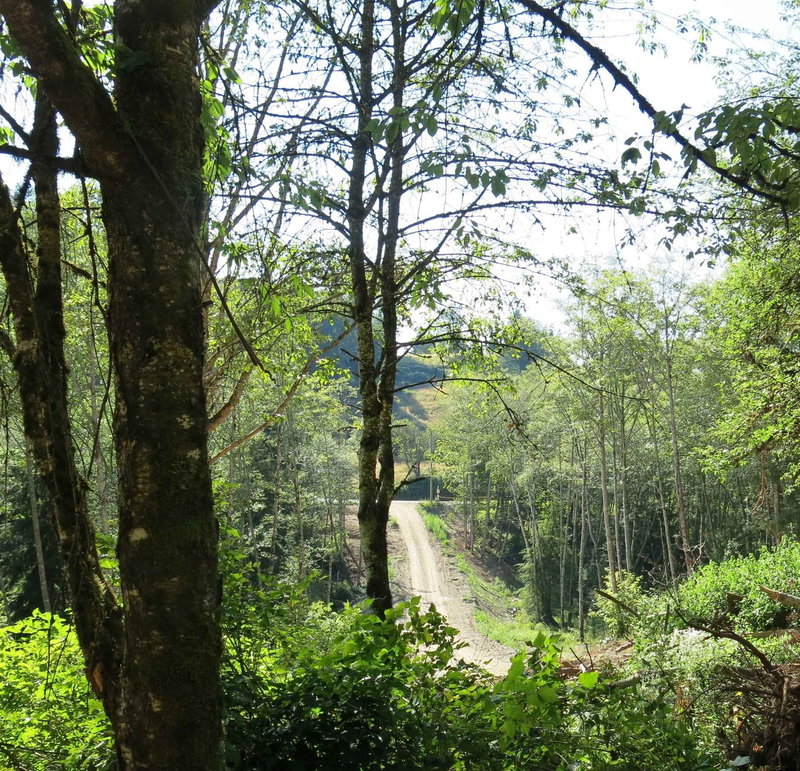 48875 Elk View Road, Chilliwack, V4Z 1G7 | Image 3