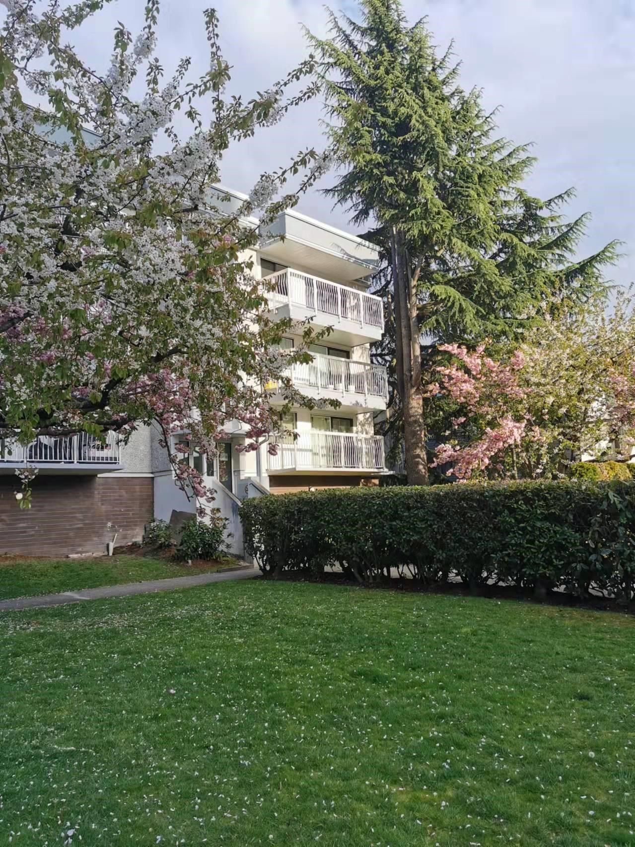 Listing Image 28