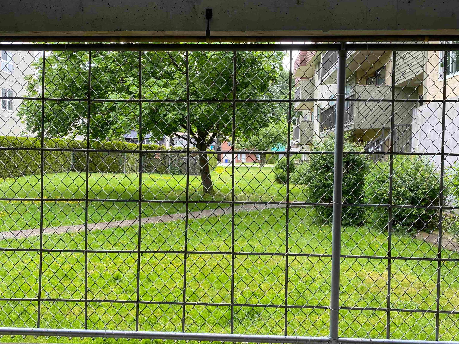 Listing Image 18