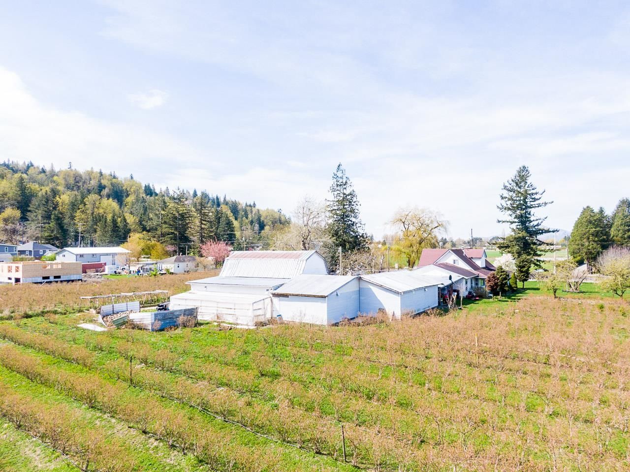 Listing Image 24