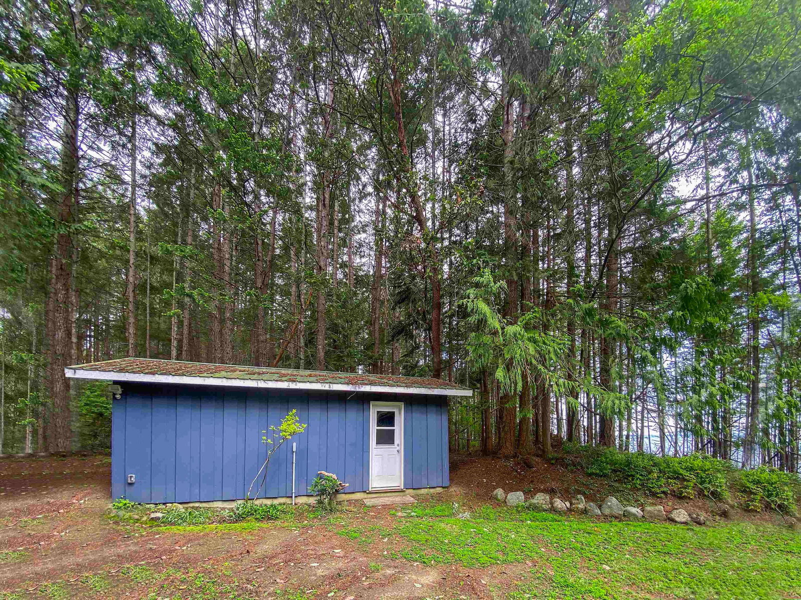 Listing Image 35