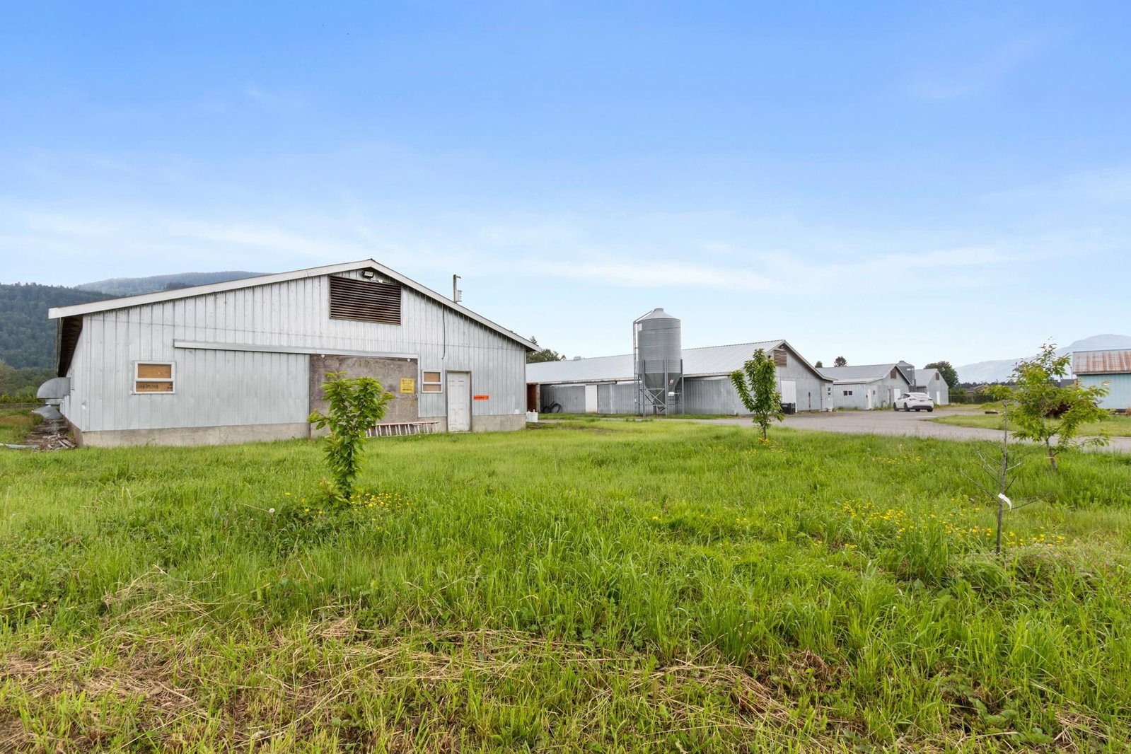 Listing Image 20