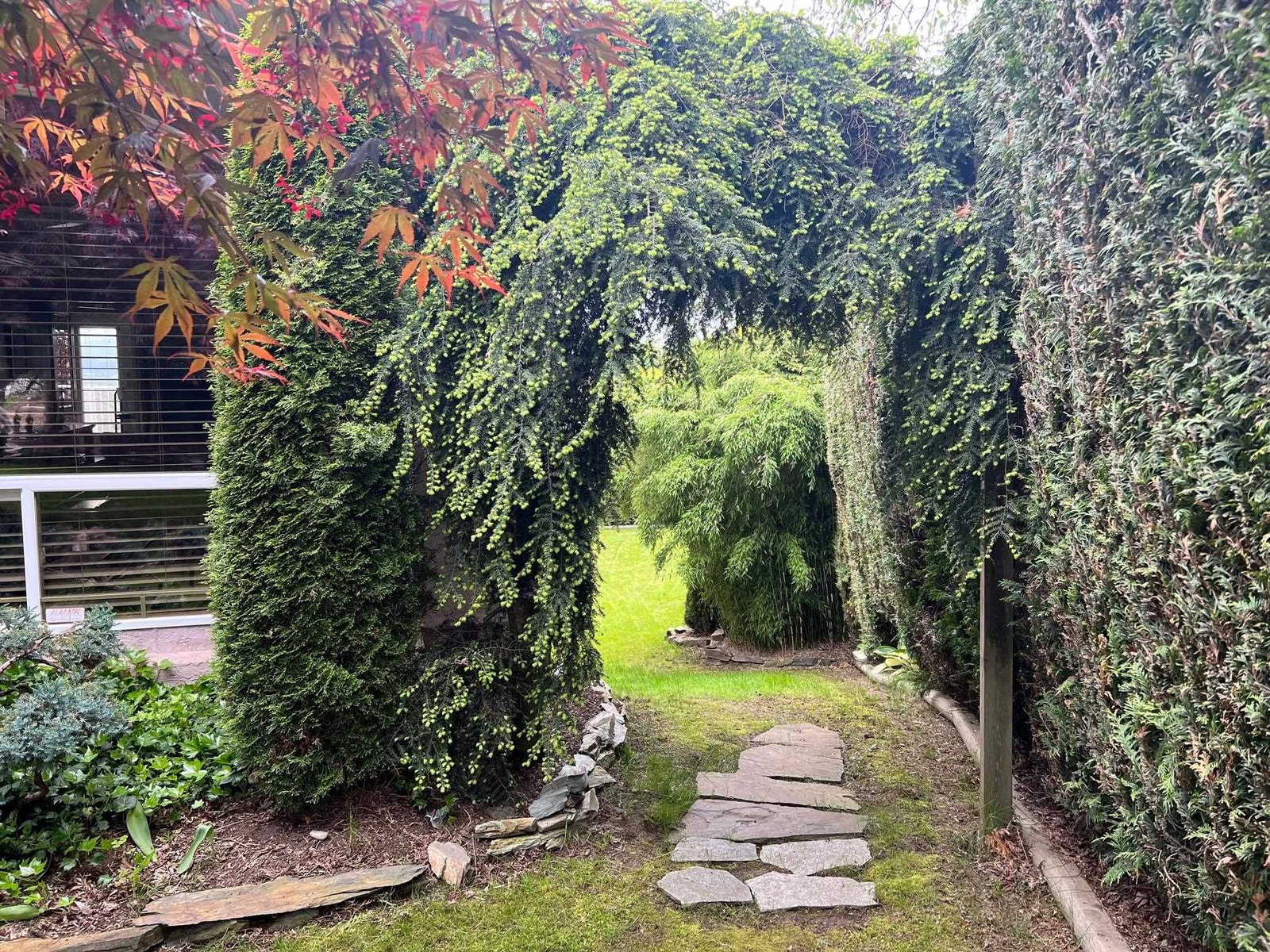 Listing Image 40