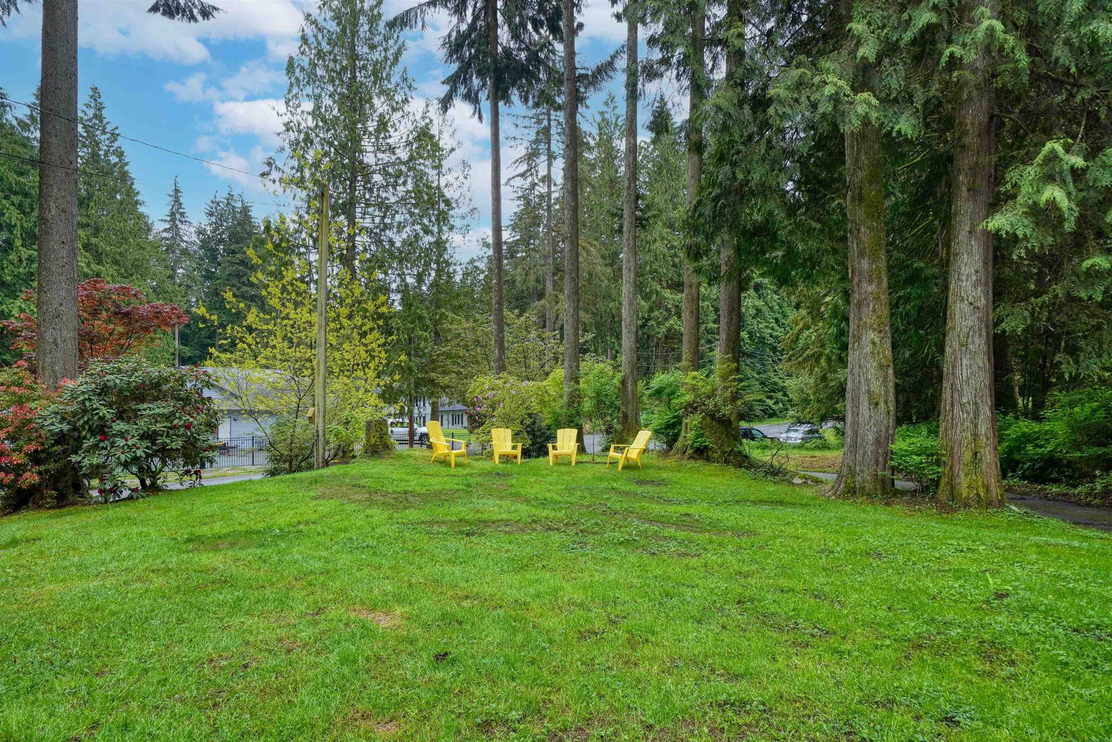 Listing Image 6
