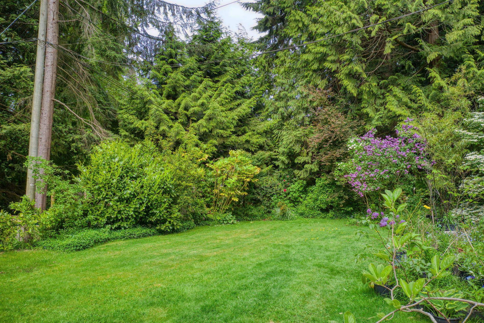 Listing Image 25