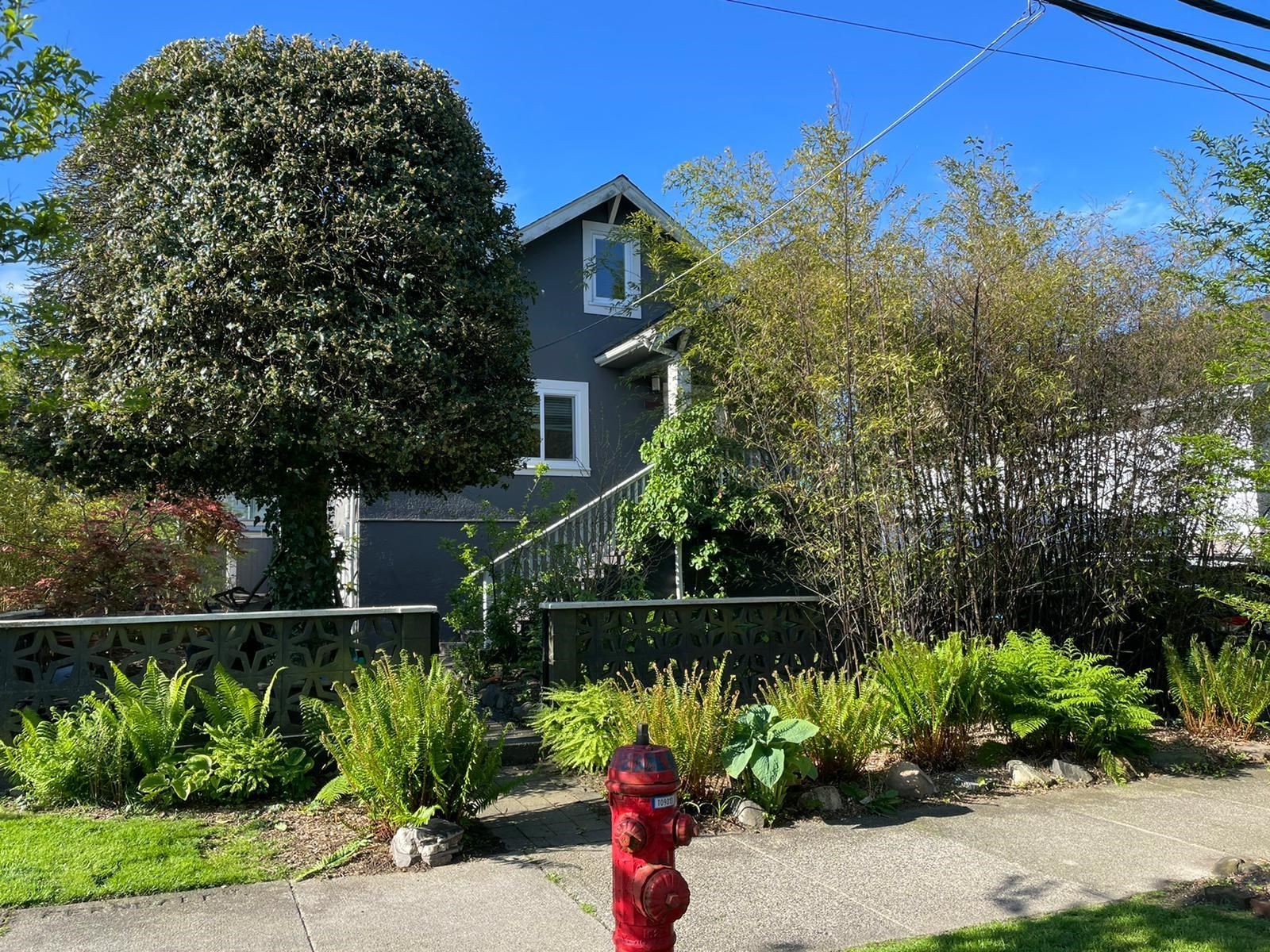 Listing Image 37