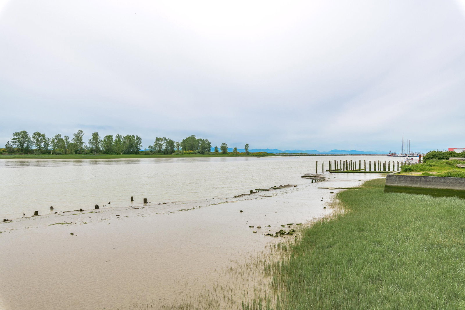 Listing Image 29