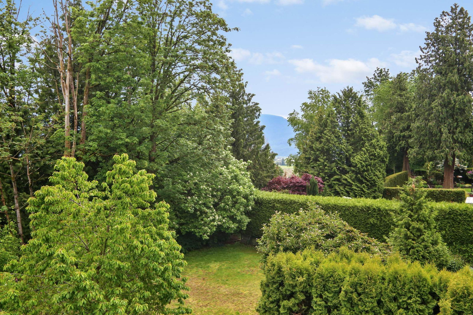 Listing Image 39