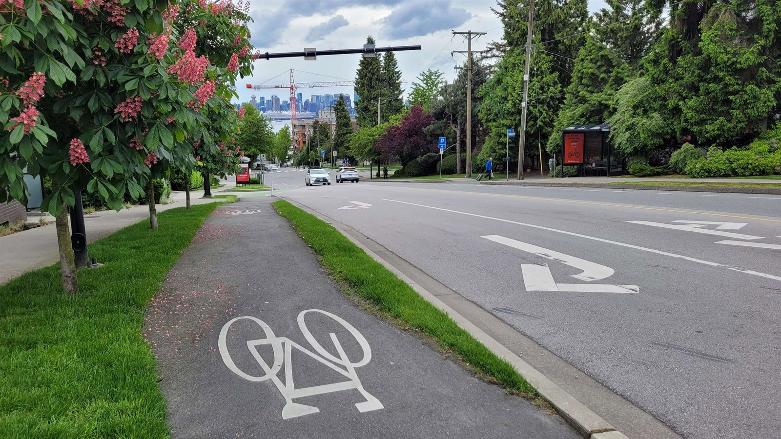 Listing Image 24