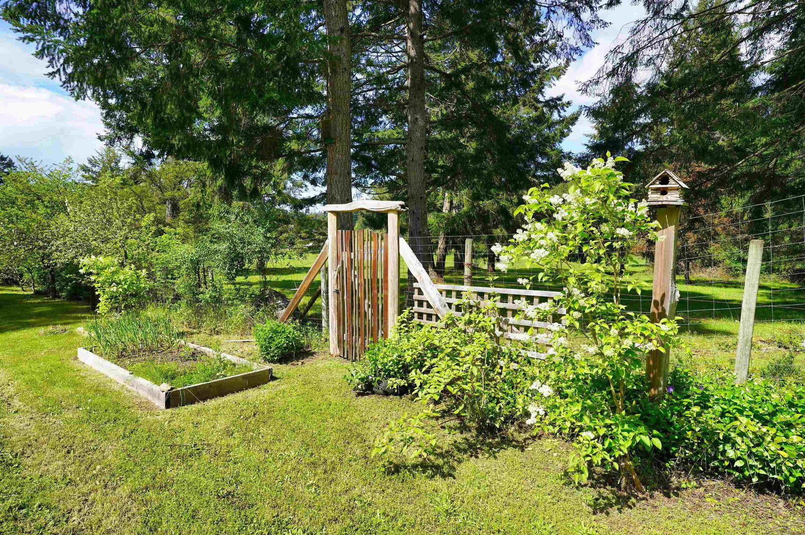 Listing Image 17