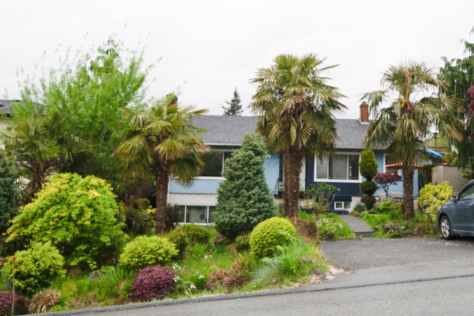 Listing Image 17